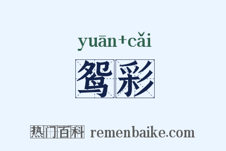 鸳彩是什么意思的图片